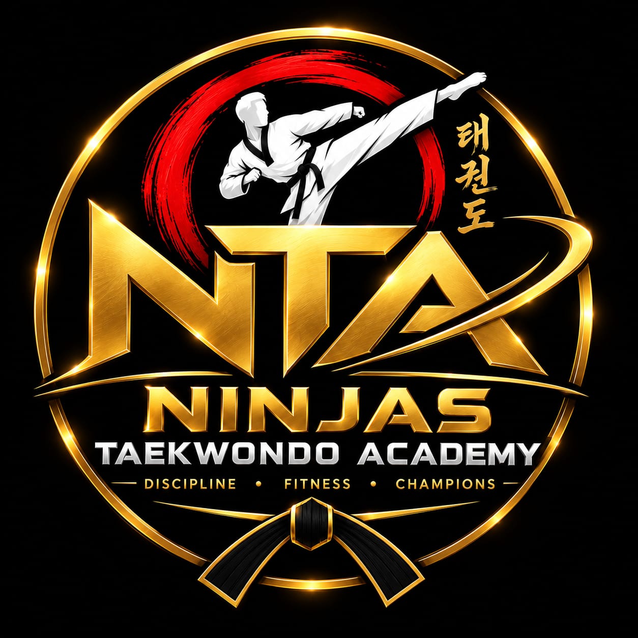 Photo of NINJA'S TAEKWONDO ACADEMY District Association